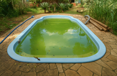 algas causando água verde na piscina
