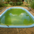 algas piscina verde 70x70